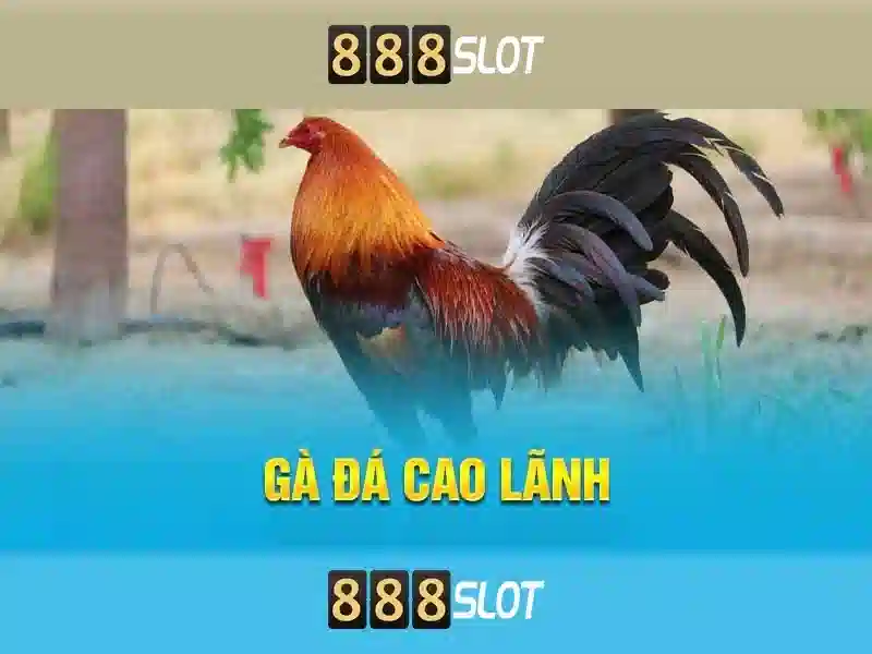 thể thao - 888SLOT thể thao - 888SLOT