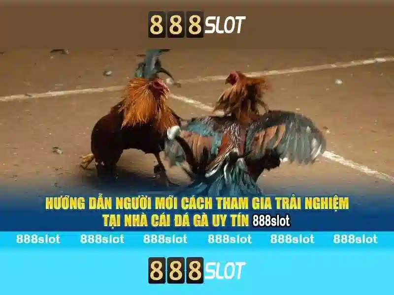 💎tỷ lệ kèo nhà cái world cup hôm nay💎 💎tỷ lệ kèo nhà cái world cup hôm nay💎