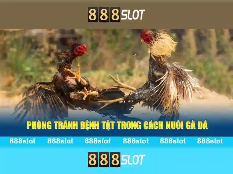 💎pigasus slot💎 💎pigasus slot💎