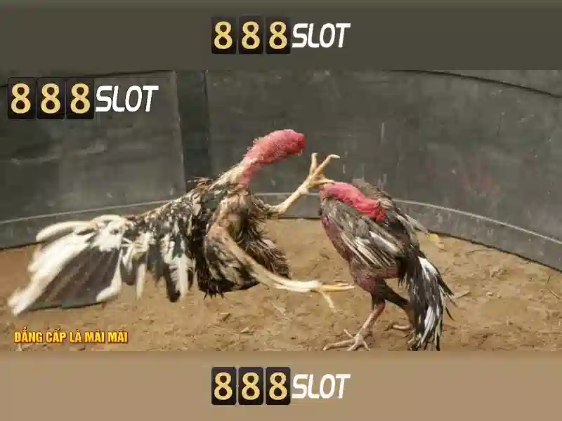 slot 888 chính chủ - 888SLOT slot 888 chính chủ - 888SLOT