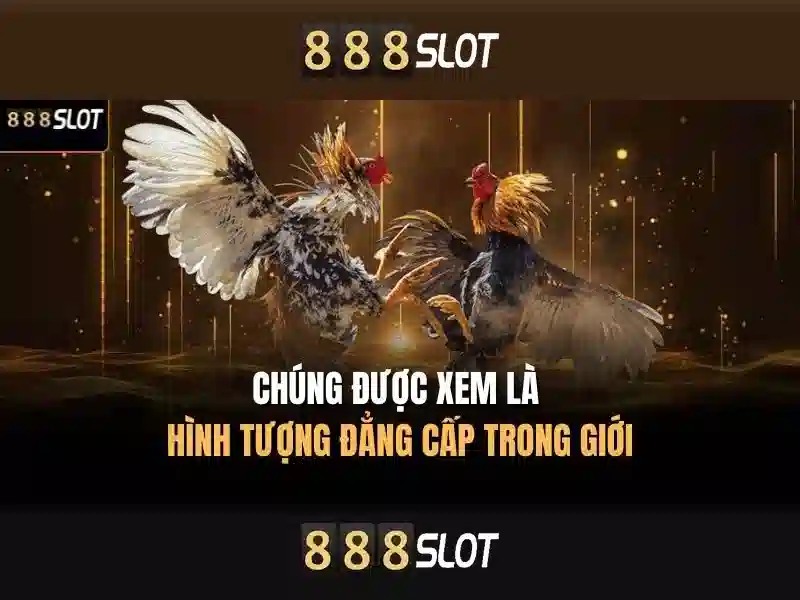 💎kedai 68 slot💎 💎kedai 68 slot💎