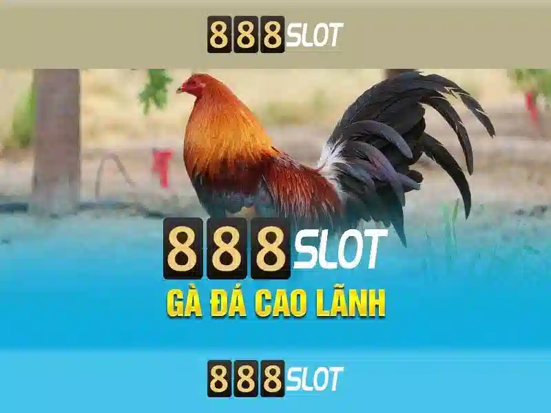 💎live vincite slot machine video💎 💎live vincite slot machine video💎