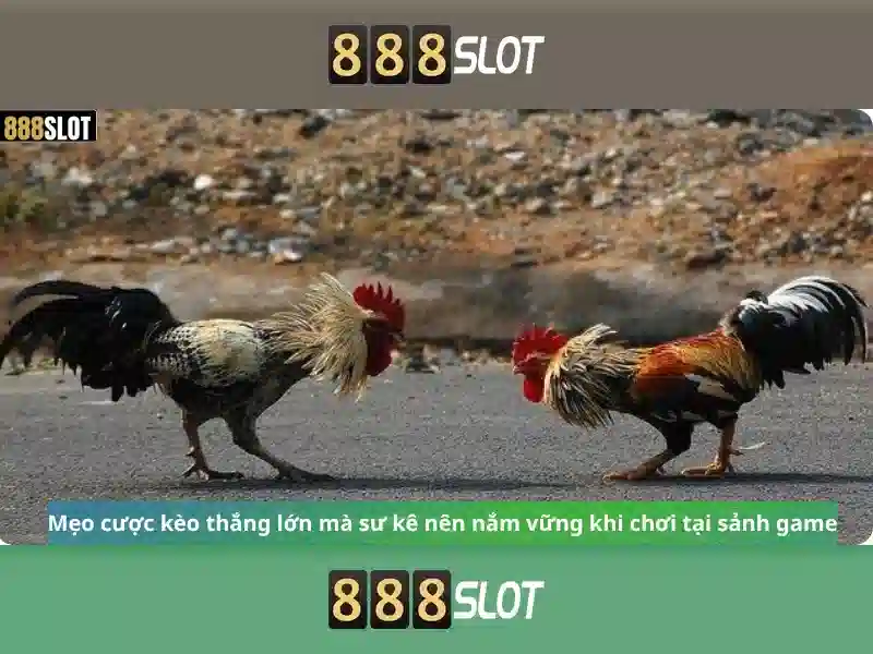 💎ty le ca cuoc viet nam vs indonesia💎 💎ty le ca cuoc viet nam vs indonesia💎