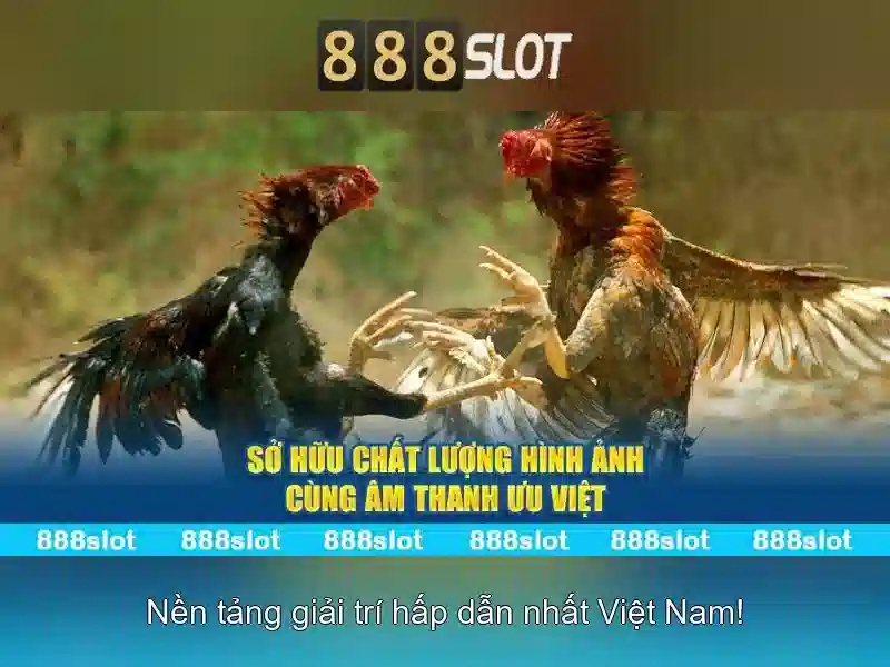 💎nha cai uy tin thanh van💎 💎nha cai uy tin thanh van💎