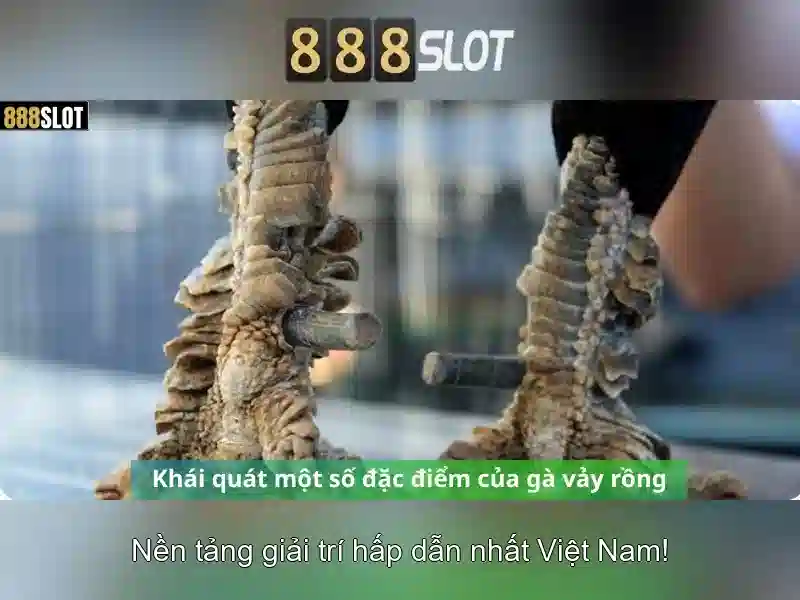 💎bài đánh giá về bác sĩ nguyễn quốc định💎 💎bài đánh giá về bác sĩ nguyễn quốc định💎