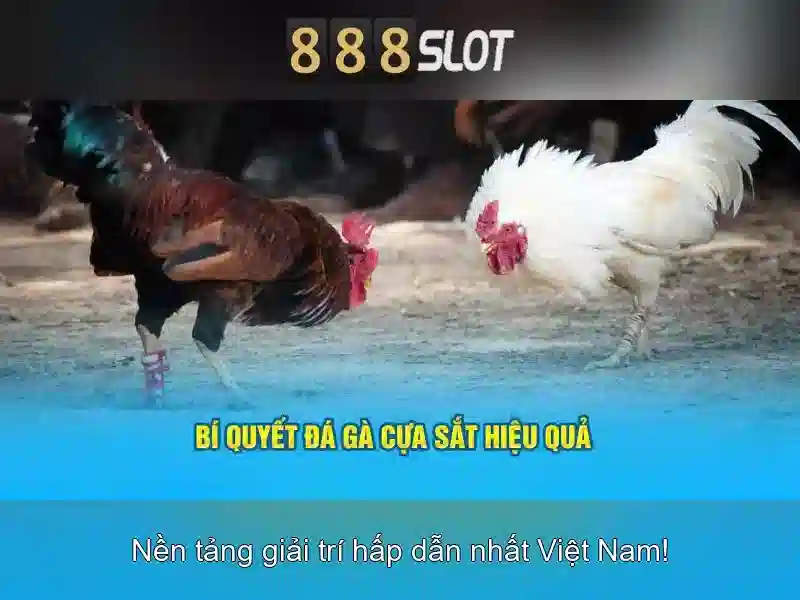 💎danh sách biển số xe đấu giá bắc ninh💎 💎danh sách biển số xe đấu giá bắc ninh💎