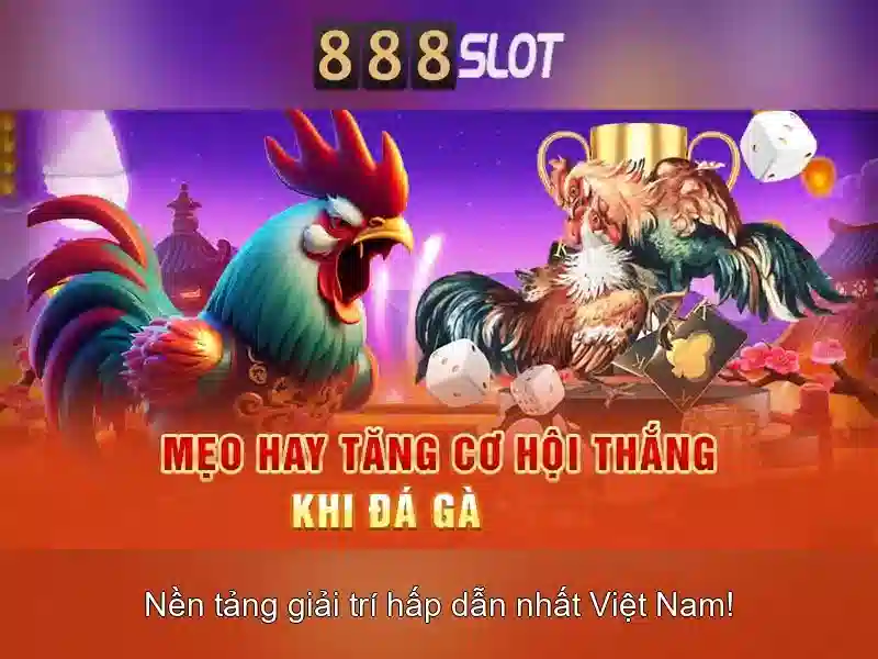 💎bong nha cái💎 💎bong nha cái💎