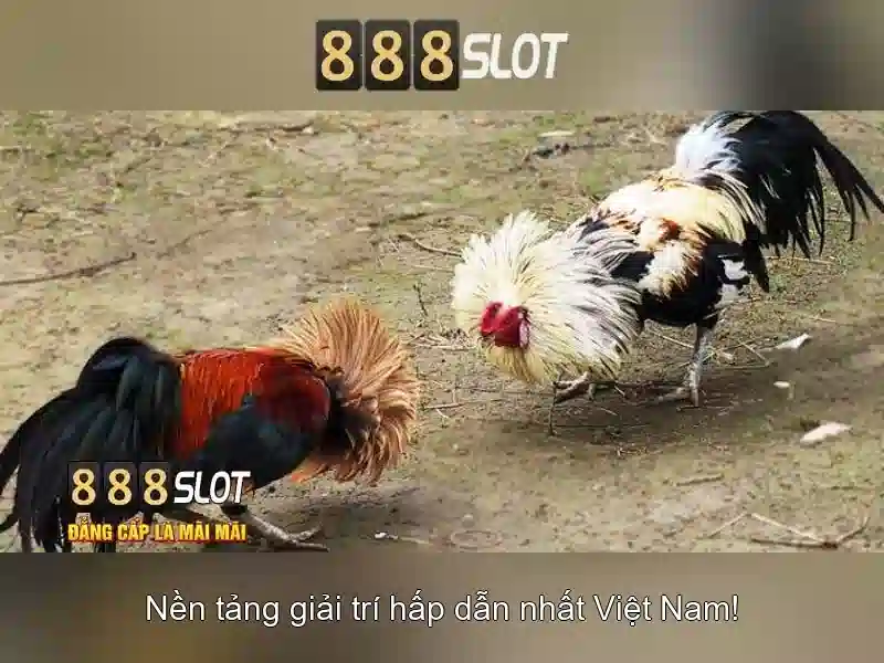 💎kubet trang web cá cược bóng💎 💎kubet trang web cá cược bóng💎