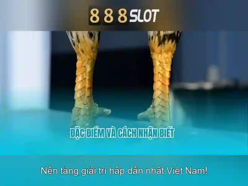 💎ndt slot machine💎 💎ndt slot machine💎