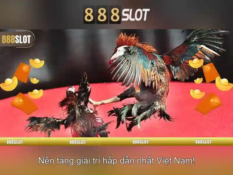 💎nhà cái st666 nhacai.games💎 💎nhà cái st666 nhacai.games💎
