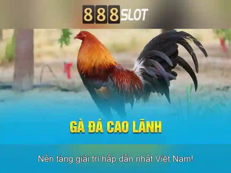 💎slot online jackpot terbaik💎 💎slot online jackpot terbaik💎