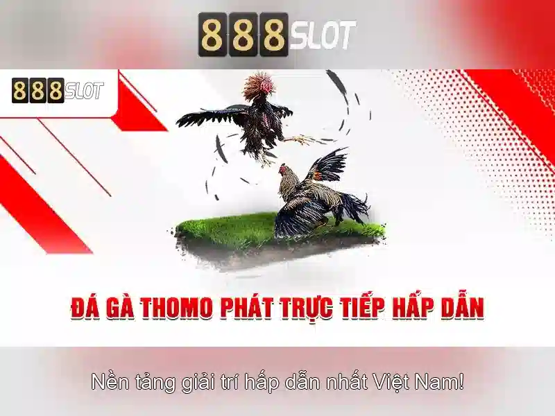 💎kẻo nhà cái 5💎 💎kẻo nhà cái 5💎