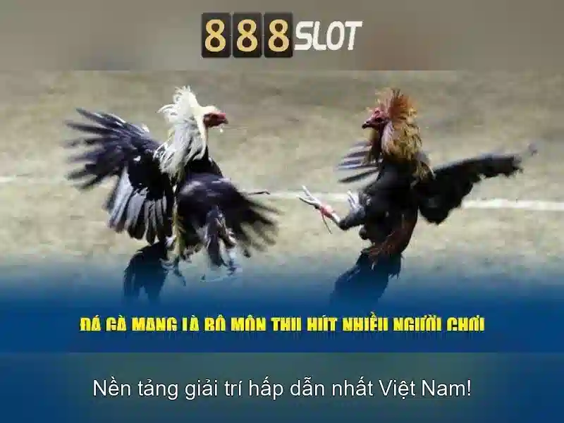💎kèo cá cược💎 💎kèo cá cược💎