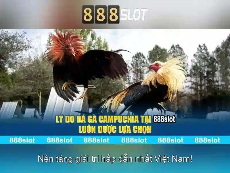 💎mua dây cước câu cá ở đâu💎 💎mua dây cước câu cá ở đâu💎