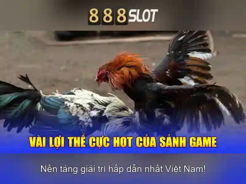 💎xét xử đánh bạc qua mạng💎 💎xét xử đánh bạc qua mạng💎