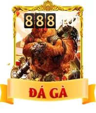 đá gà 888SLOT